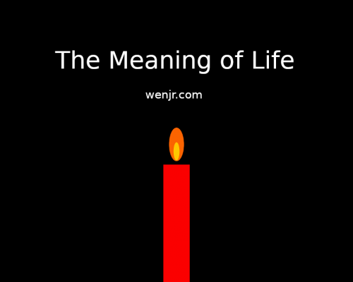 meaning of life